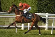 Saturday Racing Tips: Expert Picks for Newbury and Kelso Cards
