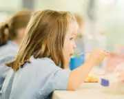 School Dinners Crisis: Economics Trump Nutrition for 50 Years