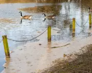 Sewage Spills in England's Rivers and Seas Near 300,000 Times in 2025