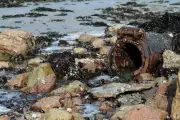 Sewage Spills Top 1.87 Million Hours in 2025 Despite Drier Weather