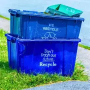 Simple Newspaper Trick Prevents Fly Infestations in Recycling Bins This Spring
