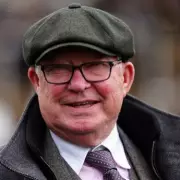 Sir Alex Ferguson's Tax-Free Cheltenham Windfall from Horse Ownership