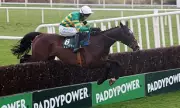 Sir Anthony McCoy Hails 'Best Cheltenham in 20 Years' as Festival Thrills