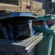 Six Items Binmen Refuse to Collect: Recycling Mistakes to Avoid