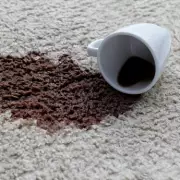 Skincare Expert Reveals £2.50 Micellar Water Removes Carpet Stains in Seconds