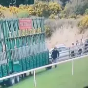 Stall Handler's Miraculous Escape After Being Trampled by 23-Horse Field