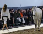 Stella McCartney's Paris Show Celebrates 25 Years with Dancing Horses and Légion d'Honneur