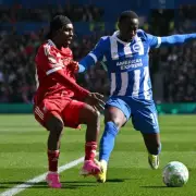 Steven Gerrard Slams Referee as Liverpool Fume Over Brighton Diving Controversy