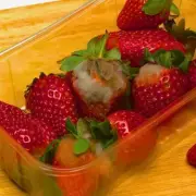 Stop Storing Berries in Supermarket Containers to Prevent Rapid Spoilage