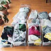 Storage Experts Warn Plastic Boxes Ruin Clothes with Musty Smells