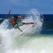 Surfer Killed in Coordinated Shark Ambush Off Australian Coast