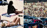 Sydney Beach Parking Fees Spark Outrage Among Tourists and Locals Alike