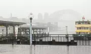 Sydney's F1 Manly Ferry Service Cancelled Amid Extreme Weather Warnings