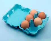 The Posh Egg Predicament: A Status Symbol and Shoplifting Target