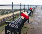 The Rise of Memorial Benches: Hartlepool's Tribute to Loved Ones