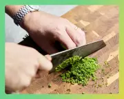 The Ultimate Chef's Knife Test: From Tomatoes to Chives, We Found the Best Blades