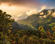 Three Dead in Hawaii Tourist Helicopter Crash on Kauai's Remote Na Pali Coast