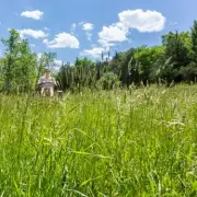 Three Essential April Gardening Tasks for a Lush, Healthy Lawn