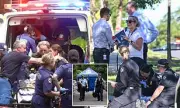 Three Police Shootings in Three Hours: Two Dead in Queensland and NSW