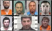 Tiger Woods Arrested for DUI After High-Speed Crash, Joins List of Golfers with Mugshots