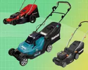 Top Electric Lawnmowers for 2025: Expert Reviews and Eco-Friendly Tips