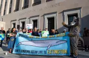Trump's 'God Squad' Overrides Endangered Species Protections for Gulf Oil Drilling