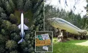 Two Teens Injured in Shooting Near Converted Boeing 727 Home in Oregon Woods