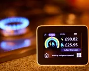 UK Energy Crisis: Government Unprepared as Bills Support Unaffordable