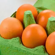 UK Food Agency Urges Households to Store Eggs in Fridge Like Americans