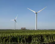 UK Government to Unveil Land Use Framework for Net Zero and Nature Restoration