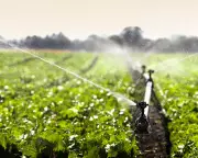 UK Scientists Urge Sustained Investment in Nutrition Research to Combat Global Malnutrition