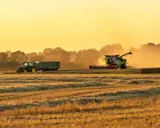 UK Urged to Stockpile Food Amid Climate and War Vulnerability Warnings