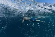 Ultra-Swimmer Battles Loneliness and Fatigue in Record Ocean Swim for Marine Life