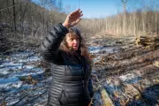 Vermont Silent Retreat Forced to Relocate as Forest Logging Sparks Debate