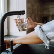 Vet Issues Crucial Tap Water Warning to Dog Owners This Winter