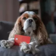 Vet Reveals 5 Dog Breeds He Would Never Own Due to Heartbreaking Health Issues