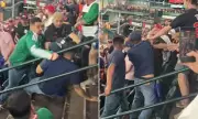 Violent Brawl Erupts Between US and Mexico Fans at World Baseball Classic