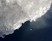 Warmer World to Transform Antarctica with Increased Rainfall