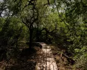 Weaving and Kayak Tours Combat Deforestation in Argentina's Gran Chaco