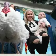 White House Objection Leads to Removal of Unflattering Karoline Leavitt Photo