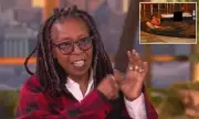 Whoopi Goldberg Defends Bill Clinton After Epstein Committee Grilling