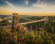 Wildlife Havens in UK Cities: Readers' Favourite Nature Reserves and Parks