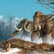 Woolly Mammoth Resurrection Project Aims for 2028 Hybrid Creature Release