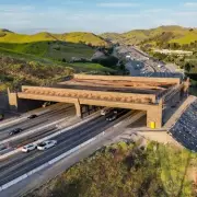 World's Largest Wildlife Bridge: £85m Crossing for Cougars and Lions