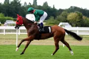 World's Top Flat Horse Calandagan to Race in Dubai Despite Gulf Conflict
