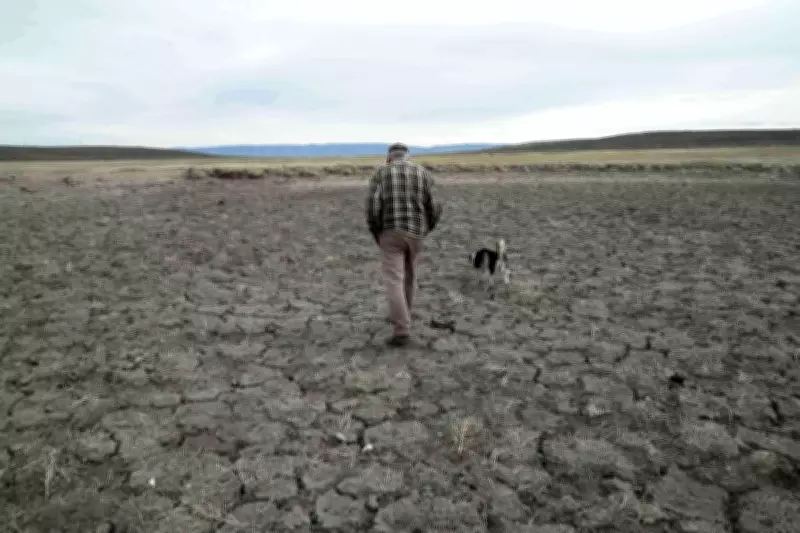 Record US Drought Fuels Fears Over Wildfires, Water Shortages and Food Inflation