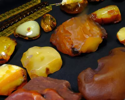 Amber and Jet Treasures Wash Up on British Coasts After Spring Storms