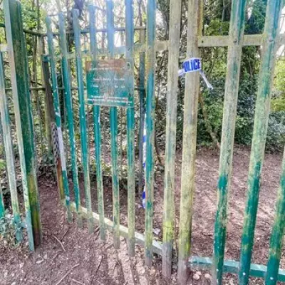 Boy, 11, Survives Head Shot After Mistaking Real Pistol for BB Gun in Southampton Woods