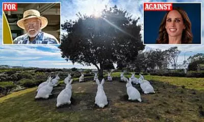 Bunnyhenge statues in California park spark battle over police HQ plans