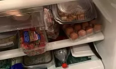 Can You Spot the Cat Hidden in This Fridge Full of Food?